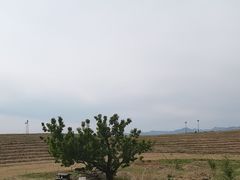 -密云玫瑰情园