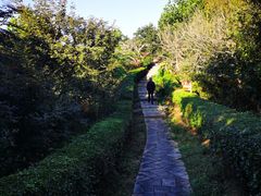 -狐尾山公园