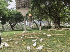 -顺峰山公园