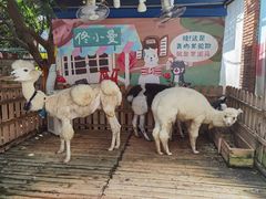 -佟小曼手工茶饼坊(鼓浪屿1店)