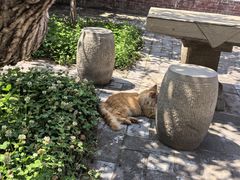 -晋祠博物馆