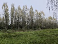 -白鹭湾湿地公园