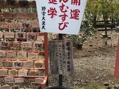 -野宫神社