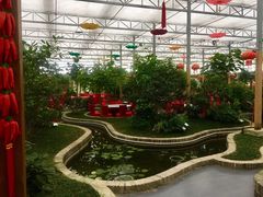 -嬉乐湾休闲旅游区