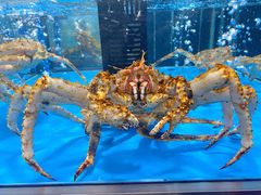 -麦德龙(郑东店)