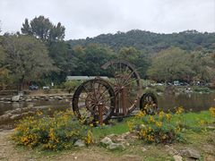 -广州市石门国家森林公园