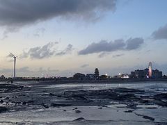 -奉贤海滩
