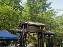 -合肥滨湖国家森林公园