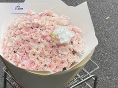 -广州四季酒店