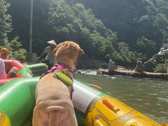 -安吉龙王山峡谷漂流