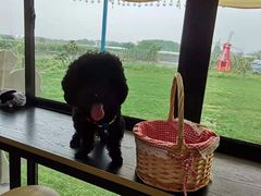 -美家乐农庄·露营·团建(大治路店)