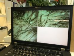 -章光101防脱养发荟