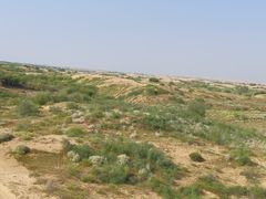 -银肯塔拉沙漠生态旅游景区