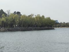 -长春市南湖公园