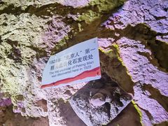 -周口店北京人遗址公园