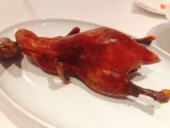 首创昆明BB乳鸭-东富酒家(龙湖西溪天街店)