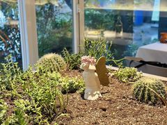 -春树下·树屋花房西餐厅(罍街AS1980店)