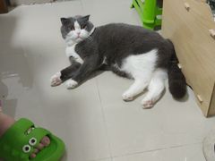 -瑞派康怡24h宠物医院·犬猫医疗中心·微创绝育(瑞景分院)