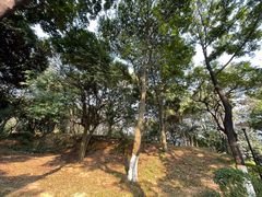 -天河儿童公园