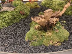 -外滩·云南人家(昆明旗舰店)