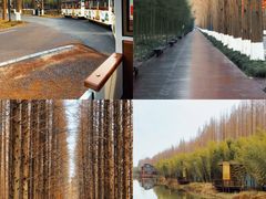 -黄海国家森林公园