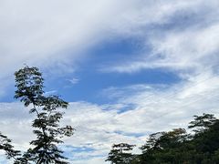-阳台山森林公园