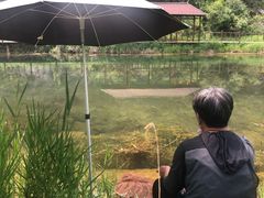 -白河湾生态旅游一条川