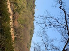 -东湖磨山景区