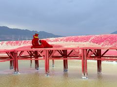 -盐湖景区