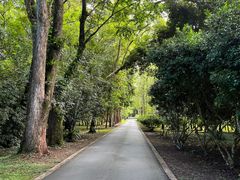 -中国科学院西双版纳热带植物园