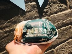 -麦当劳(盛兴大街店)