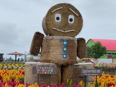 -富田农场