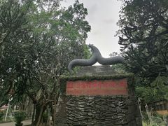 -海口火山口国家地质公园
