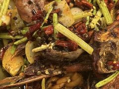 -古彭7只羊·招牌白串·碳锅羊肉旗舰店