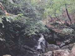 -藏龙百瀑风景区