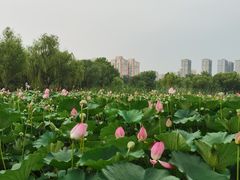 -太阳宫公园