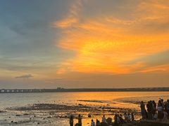 -宝安西湾红树林湿地公园