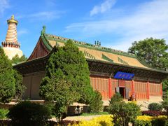 -张掖大佛寺景区