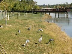 -武清南湖绿博园