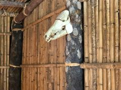 -太鲁阁公园