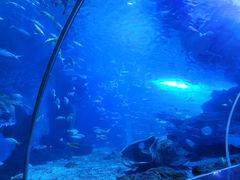 -多彩贵州城极地海洋世界