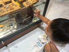 -乐天免税店(明洞店)