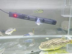 -农家湘菜(安亭店)