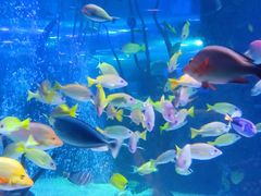 -沈阳海洋探索中心