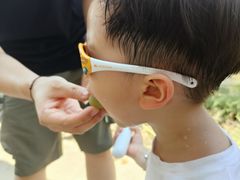 -马陆小张葡萄园农家乐