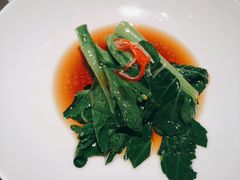 -觀芷隐轩