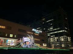 -台场海滨公园船码头