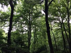 -紫霞湖公园