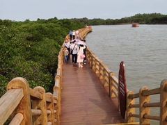 -东寨港红树林旅游区