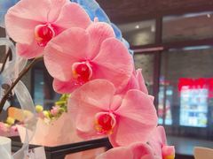 -豆豆花艺(新光天地店)